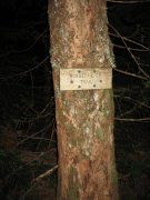 8.10.06 Rock of Ages Ridge 052 